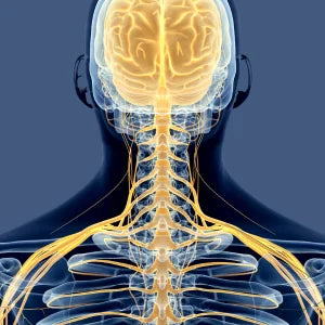 Appareil Massage Cou Shiatsu, Chauffant et Relaxant pour Douleurs